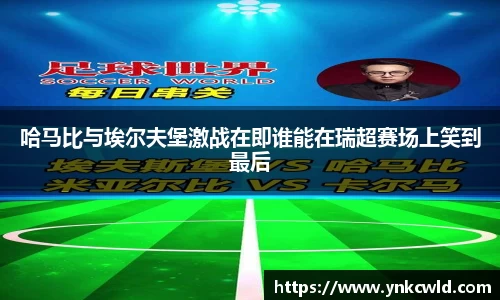 leyu乐鱼